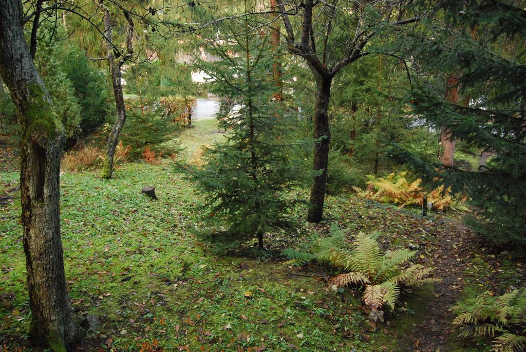 Boróka Apartmanházak - Öregház Velem Szoba fotó